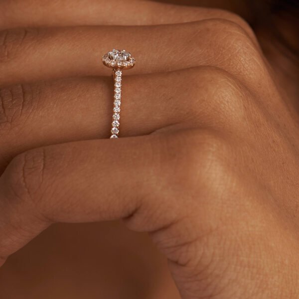 FR199-4.jpg | foroworld | foroworld